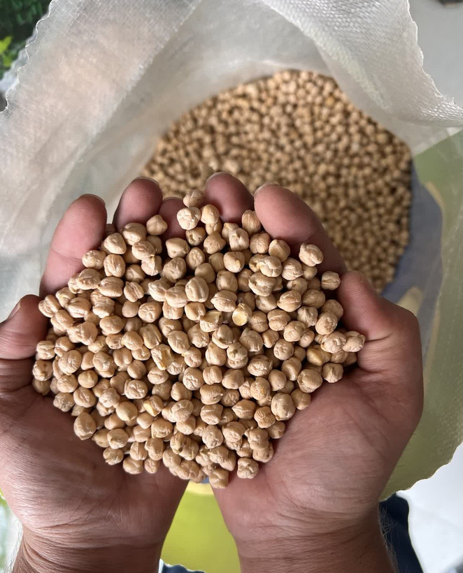 لیزر و اصلاح شده