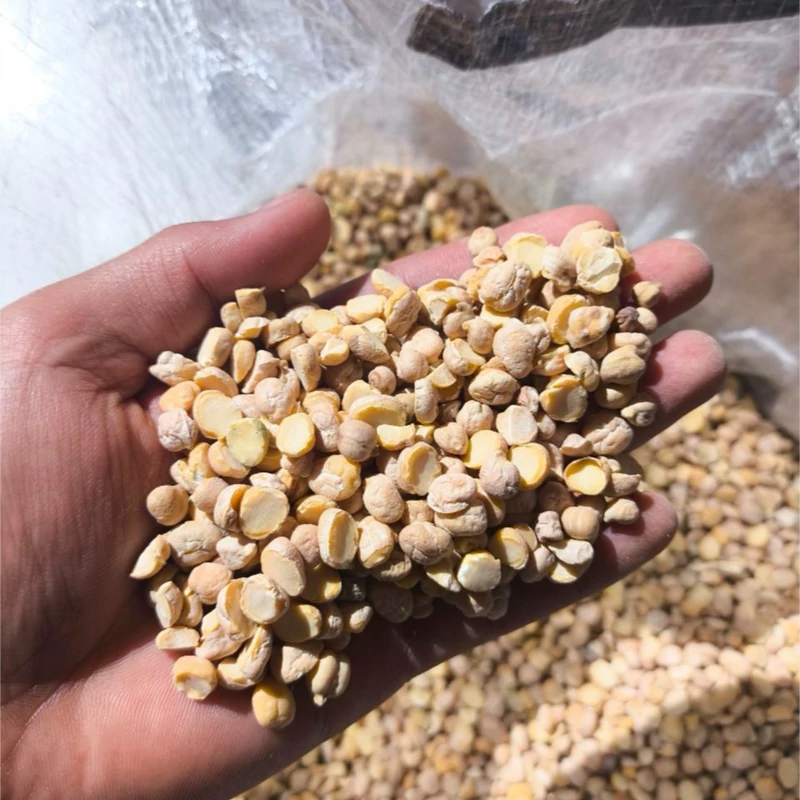 نخود شکسته (30kg-فلافل سایز 5)فی:125