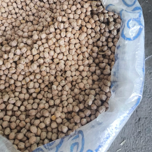 نخود دوخان30kg (سایز9-10) 195