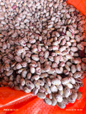 لوبیا چیتی فی :320
