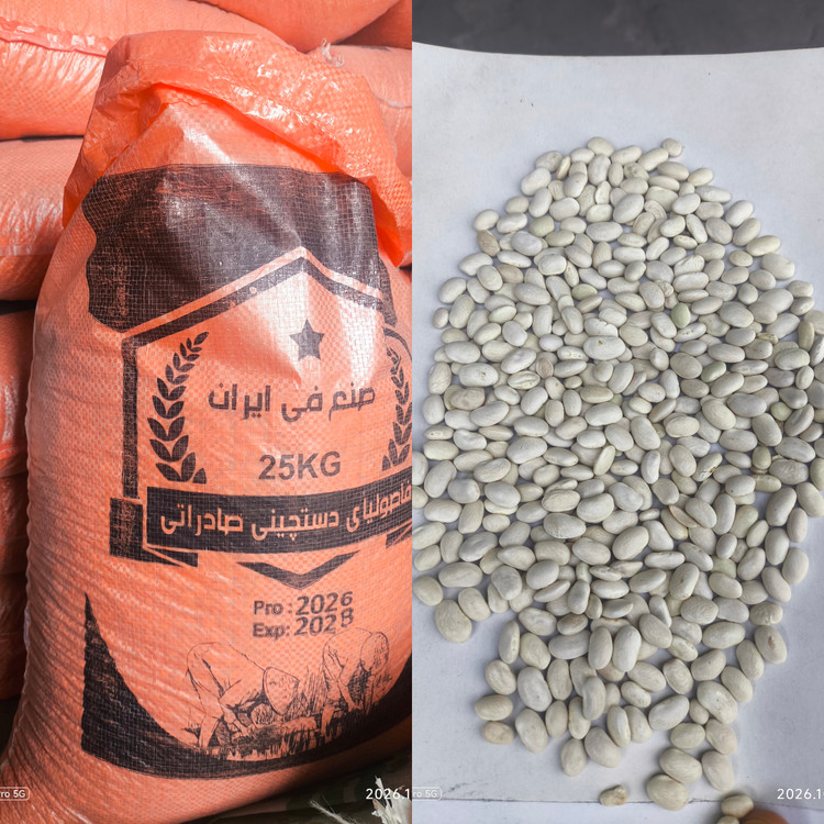 لوبیا سفید ممتاز پزا پاک شده ای ایرانی
